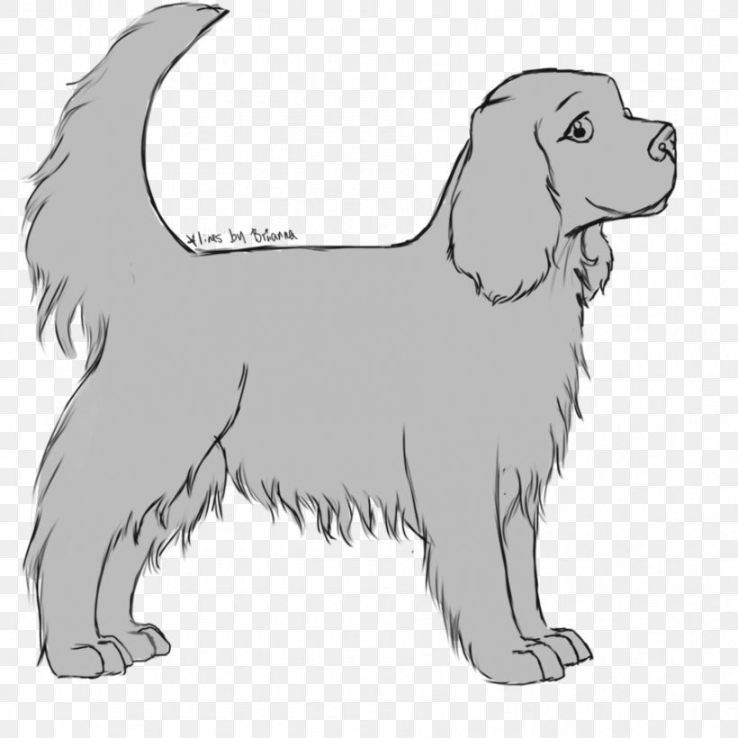 Dog Breed Puppy Retriever Sporting Group Spaniel, PNG, 894x894px, Dog Breed, Artwork, Black And White, Breed, Carnivoran Download Free