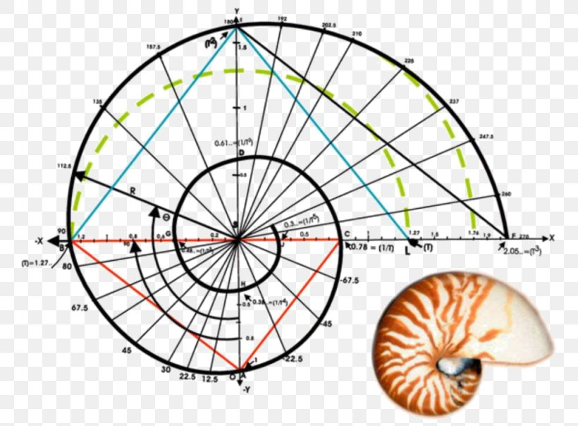 Fibonacci Number Golden Ratio Golden Spiral Mathematics, PNG, 1024x755px, Fibonacci Number, Area, Arithmetic, Bicycle Part, Bicycle Wheel Download Free
