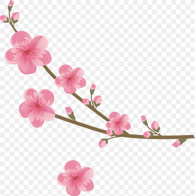Flowers Floral, PNG, 2974x3000px, Flowers, Artificial Flower, Blossom, Branch, Cherry Blossom Download Free