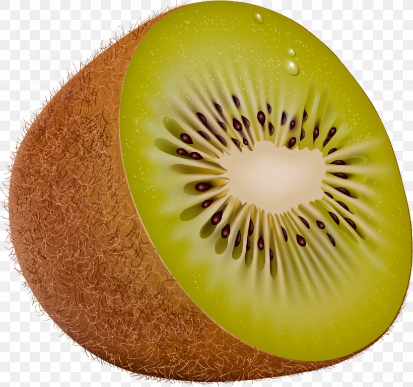 Kiwifruit Clip Art, PNG, 882x829px, Kiwifruit, Food, Fruit, Galia, Kiwi Download Free