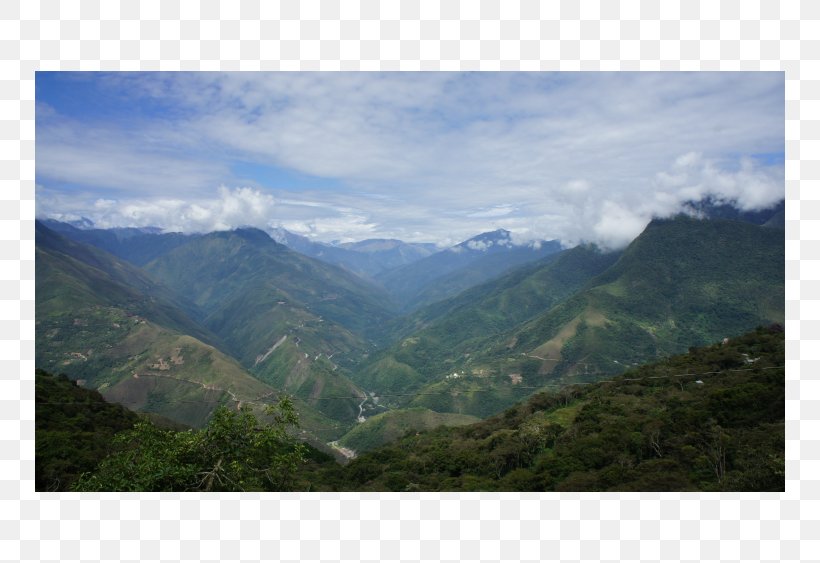 Mount Scenery Massif Valley Forest Mountain Range, PNG, 750x563px, Mount Scenery, Area, Escarpment, Fell, Forest Download Free