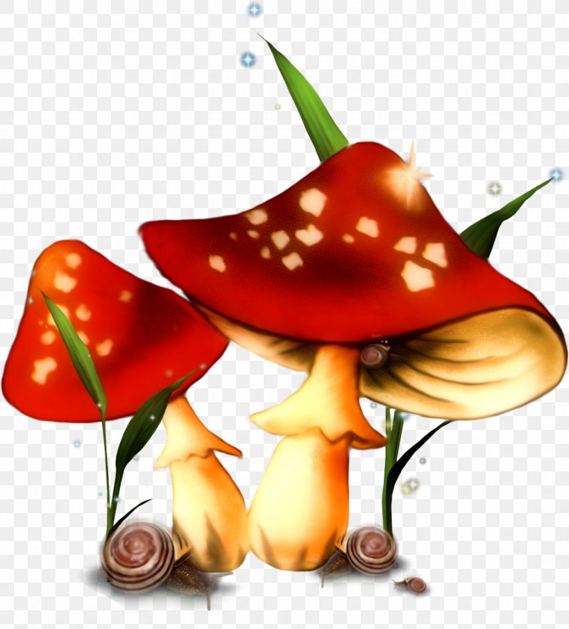 Mushroom Fungus Animation Photography, PNG, 925x1024px, Mushroom, Animation, Autumn, Color, Flower Download Free