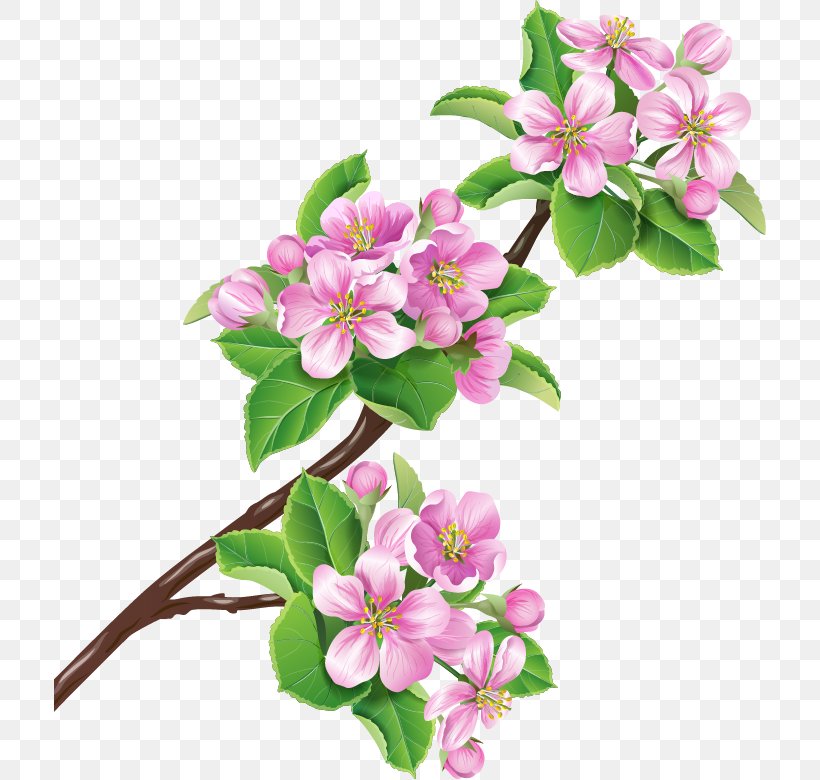 Paper Blossom Drawing Watercolor Painting, PNG, 712x780px, Paper, Blossom, Branch, Cherry Blossom, Cut Flowers Download Free