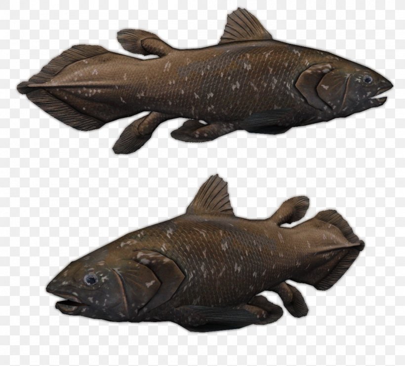 Zoo Tycoon 2 Indonesian Coelacanth Manado, PNG, 1104x1000px, Zoo Tycoon 2, Animal, Cod, Coelacanth, Fauna Download Free