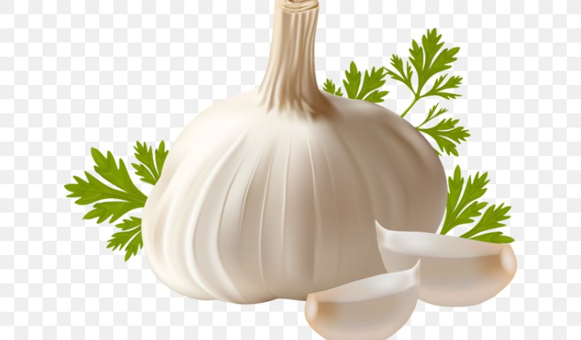 Clip Art Openclipart Garlic Image, PNG, 640x480px, Garlic, Food, Ingredient, Onion, Onion Genus Download Free