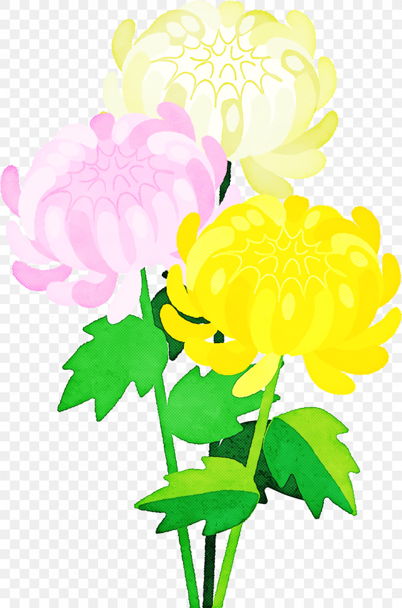 Floral Design, PNG, 1056x1598px, Floral Design, Carnation, Chrysanthemum, Cut Flowers, Dahlia Download Free