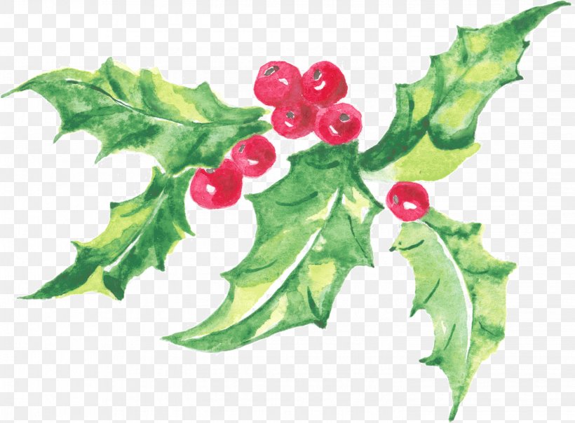 Holly Image Design Watercolor Painting, PNG, 2889x2130px, Holly, American Holly, Aquifoliales, Botany, Designer Download Free