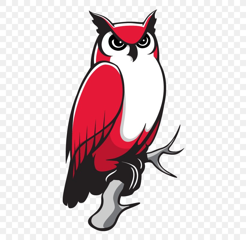 Owl Keene State College Kennesaw State University Clip Art, PNG, 464x800px, Owl, Art, Beak, Bird, Bird Of Prey Download Free