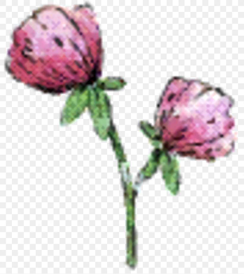 Pink Flower Cartoon, PNG, 1612x1812px, Garden Roses, Cabbage Rose, Cut Flowers, Flower, Garden Download Free