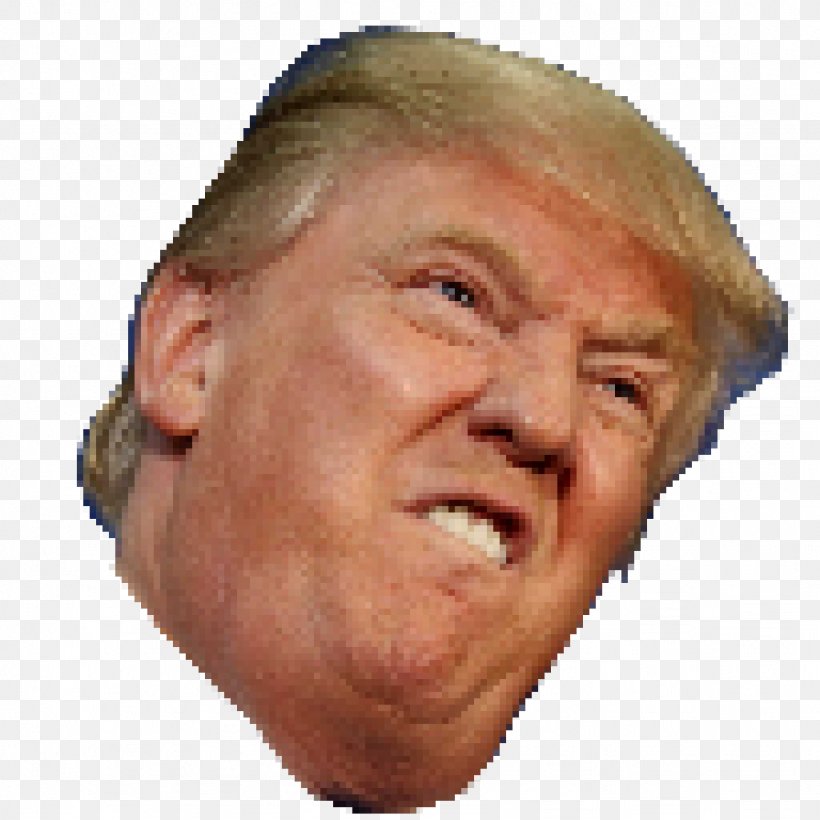 Presidency Of Donald Trump United States Clip Art, PNG, 1024x1024px, Donald Trump, Cheek, Chin, Close Up, Drawing Download Free