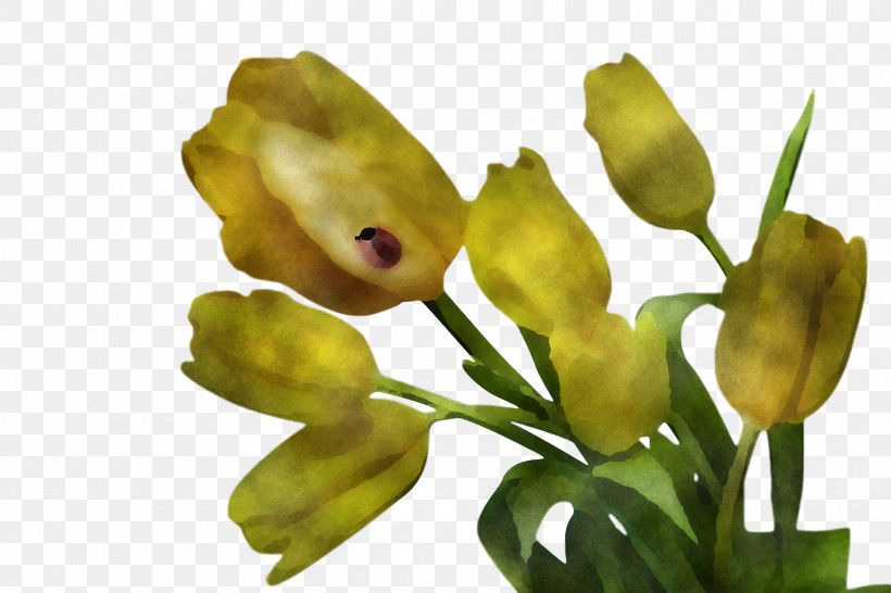 Spring, PNG, 1920x1280px, Spring, Bud, Cut Flowers, Flower, Petal Download Free