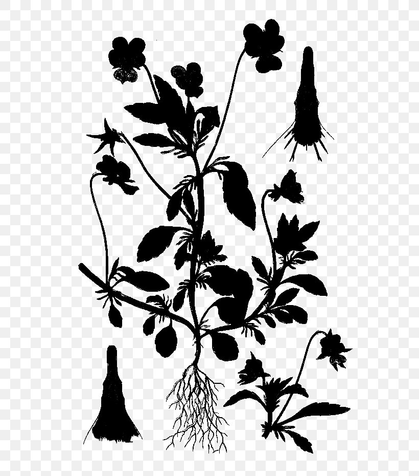 Twig Plant Stem Flower Leaf Pattern, PNG, 598x930px, Twig, Art, Blackandwhite, Botany, Branch Download Free