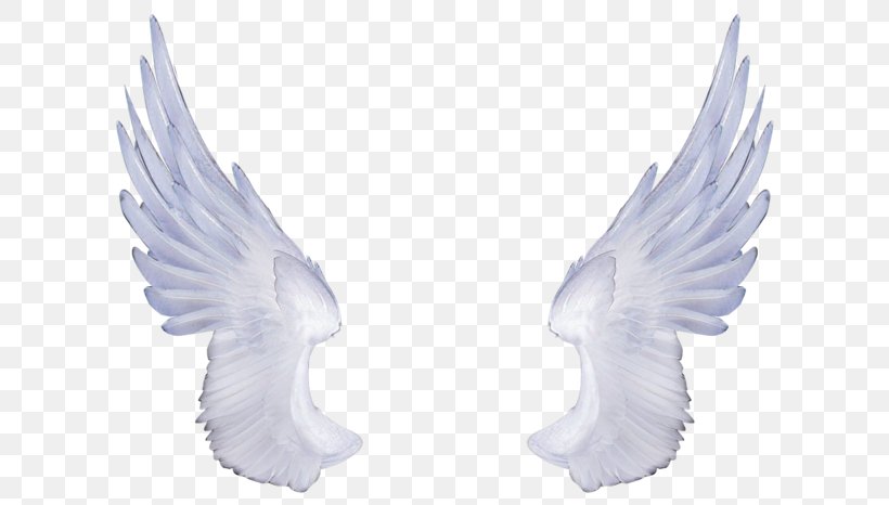 Wing Clip Art, PNG, 699x466px, Wing, Angel, Beak, Bird, Feather Download Free