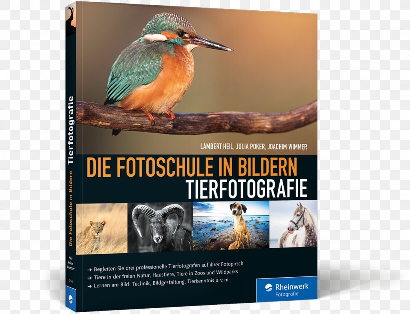 Die Fotoschule In Bildern. Tierfotografie Germany Wildlife Photography Wildlife-Fotografie: Frei Lebende Tiere In Deutschland Und Europa Fotografieren, PNG, 1044x800px, Germany, Advertising, Banner, Beak, Bildgestaltung Download Free