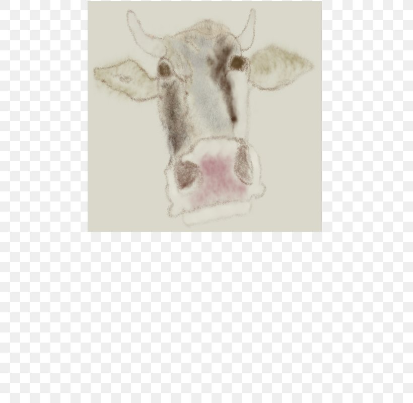 Cattle Clip Art, PNG, 566x800px, Cattle, Cartoon, Clarabelle Cow, Drawing, Fauna Download Free