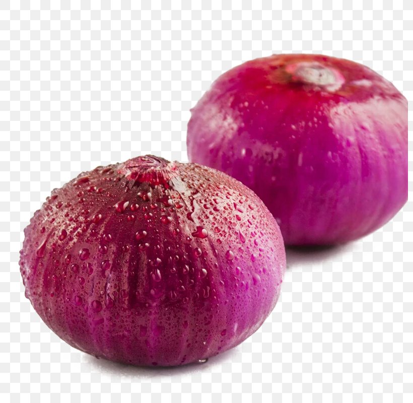 Onion Allium Fistulosum Garlic Vegetable, PNG, 800x800px, Onion, Allium, Allium Fistulosum, Century Egg, Egg Download Free