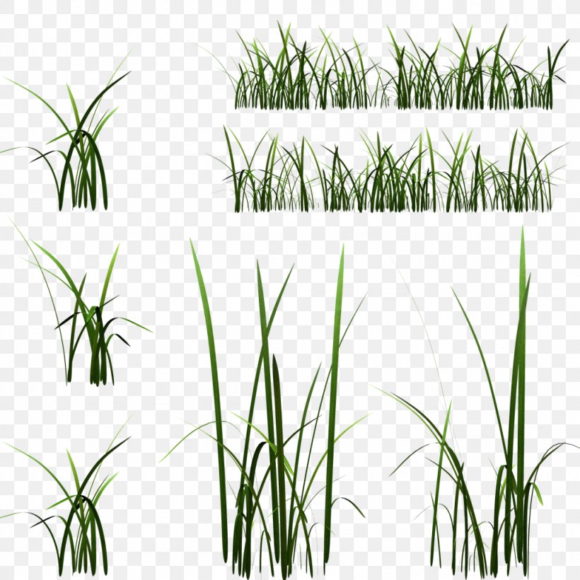Texture Mapping Unreal Engine 4 Grasses ZBrush Low Poly, PNG, 1024x1024px, 3d Computer Graphics, Texture Mapping, Arecales, Art, Autodesk Maya Download Free
