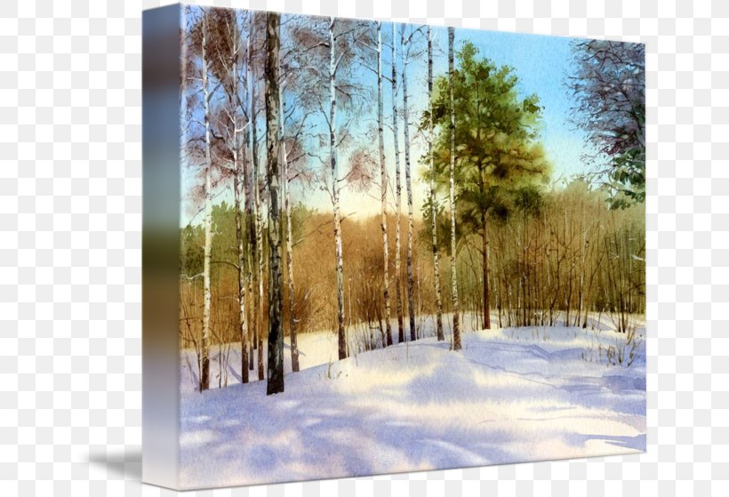 Birch Painting Biome State Park Wood, PNG, 650x559px, Birch, Biome, Ecosystem, Forest, Freezing Download Free