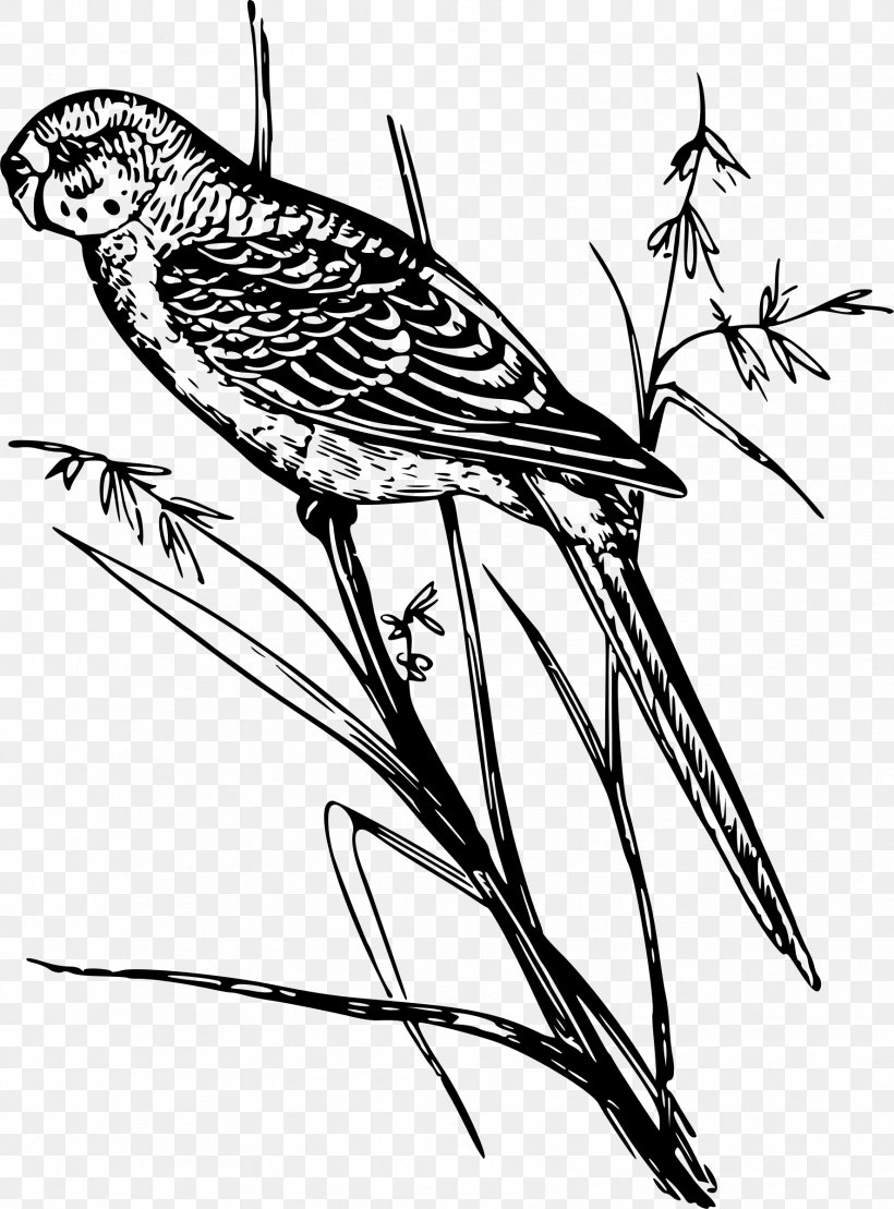 Budgerigar Parrot Bird Clip Art, PNG, 1774x2400px, Budgerigar, Artwork, Beak, Bird, Black And White Download Free