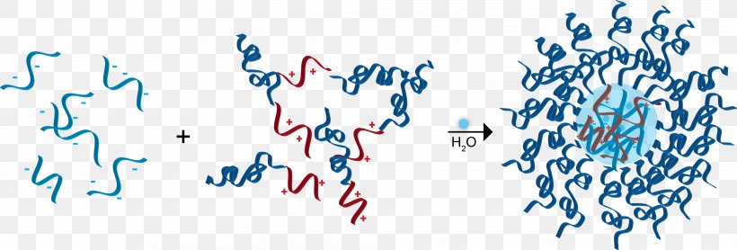 Coacervate Polyelectrolyte Micelle Electrostatics Molecule, PNG, 4001x1361px, Coacervate, Blue, Coordination Complex, Dna, Electric Blue Download Free
