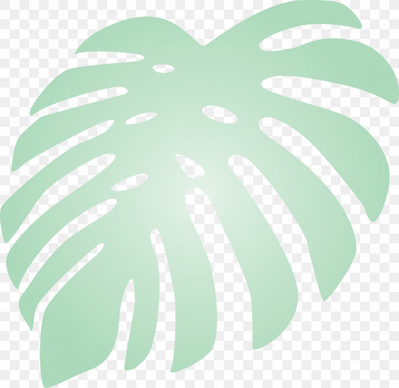 Monstera Tropical Leaf, PNG, 3000x2919px, Monstera, Biology, Geometry, Green, Leaf Download Free