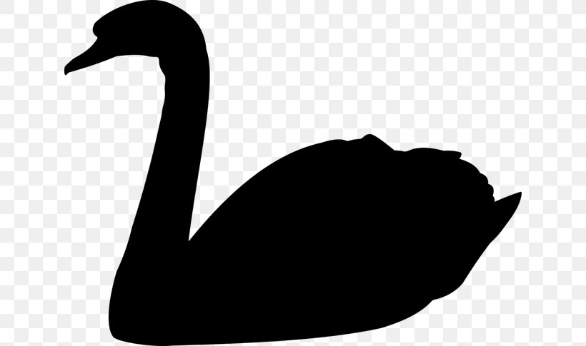 Mute Swan Black Swan Vector Graphics Bird Clip Art, PNG, 640x485px, Mute  Swan, Animal, Art, Beak,