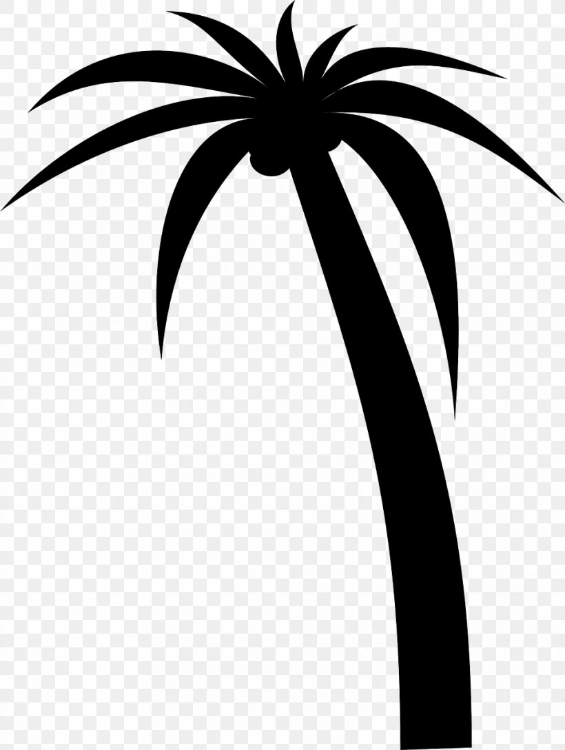 Arecaceae Drawing Clip Art, PNG, 963x1280px, Arecaceae, Arecales, Artwork, Black And White, Branch Download Free