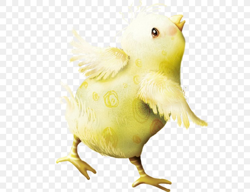 Duck Lutka School Graduate University Easter, PNG, 549x631px, Duck, Beak, Bird, Chicken, Chicken As Food Download Free