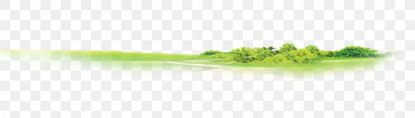 Logo Brand Font, PNG, 1400x400px, Logo, Brand, Computer, Grass, Green Download Free