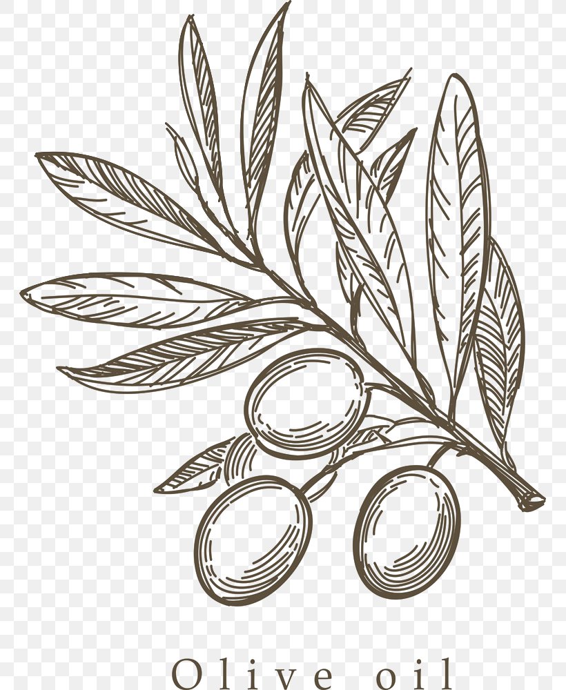 Mediterranean Cuisine Olive Drawing Sketch, PNG, 763x1000px, Mediterranean Cuisine, Black And White, Drawing, Flora, Flower Download Free