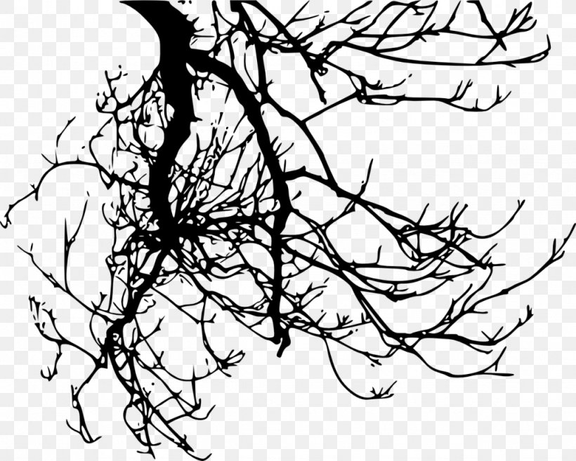 Twig Branch Tree, PNG, 1024x821px, Twig, Artwork, Beak, Black And White, Branch Download Free
