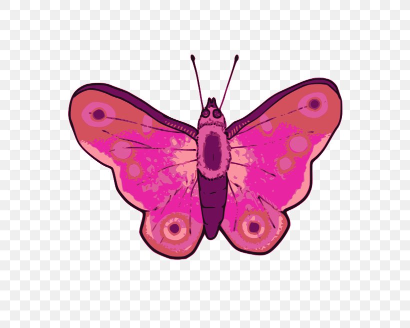 Butterfly Clip Art, PNG, 800x655px, Butterfly, Arthropod, Brush Footed Butterfly, Caterpillar, Drawing Download Free