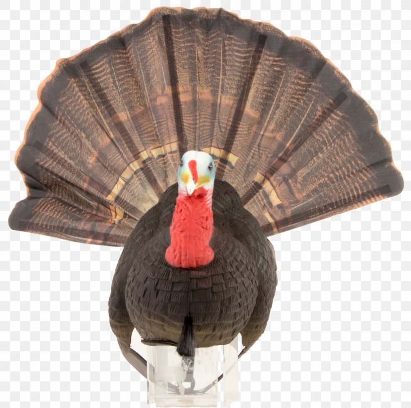 Decoy Hunting Mallard Chicken Domestication, PNG, 2650x2630px, Decoy, Beak, Chicken, Com, Domesticated Turkey Download Free