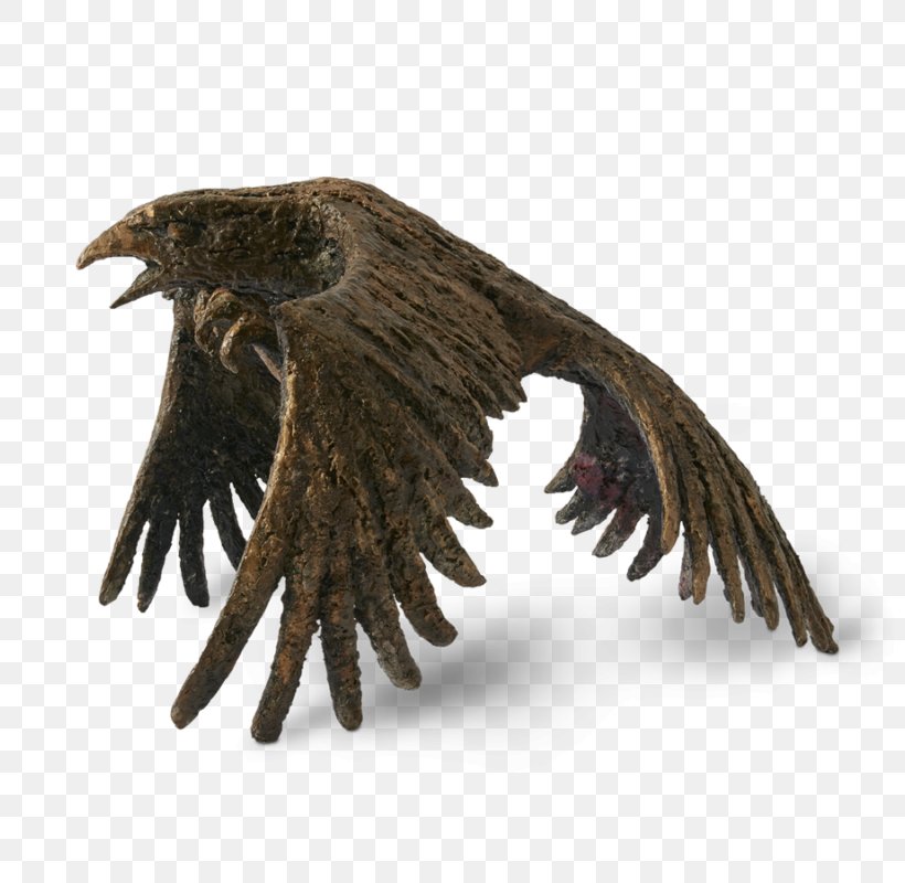 Eagle Beak Hair Resin Wife, PNG, 800x800px, Eagle, Beak, Bird, Bird Of Prey, Claw Download Free