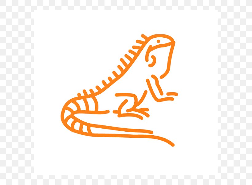 Green Iguana Lizard Coloring Book Drawing Image, PNG, 600x600px, Green Iguana, Adult, Area, Brand, Bukalapak Download Free