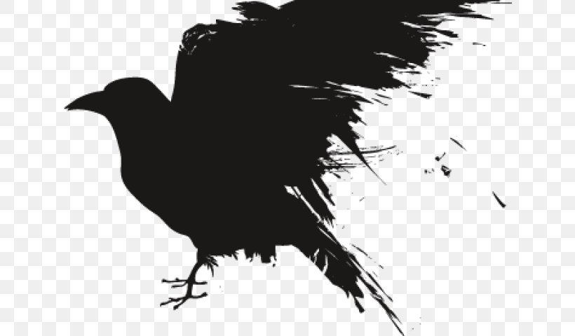 Clip Art Common Raven Transparency Image, PNG, 640x480px, Common Raven, American Crow, Beak, Bird, Black And White Download Free