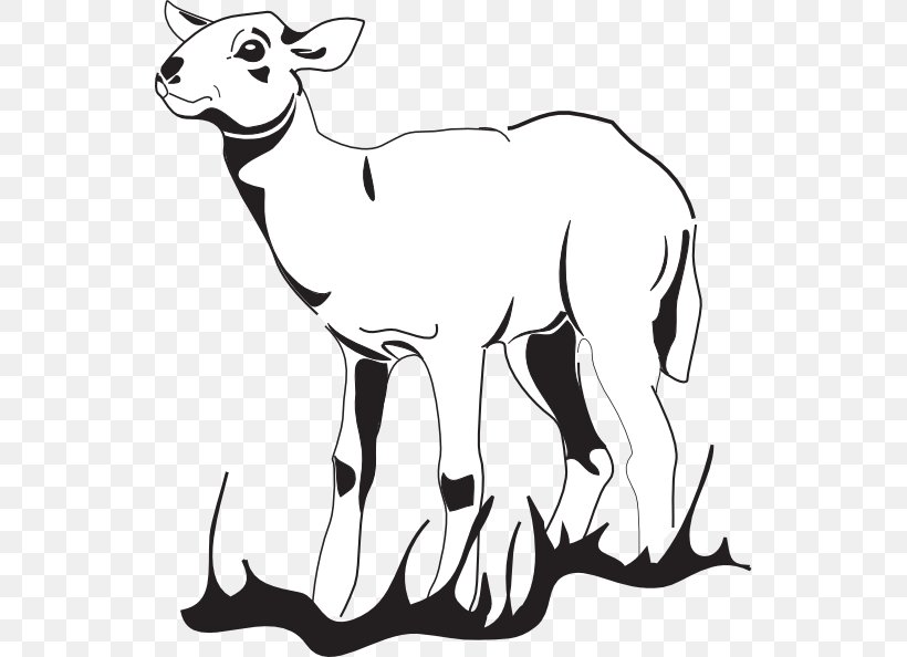 Sheep Agneau Goat Lamb And Mutton, PNG, 540x594px, Sheep, Agneau, Artwork, Black And White, Cattle Like Mammal Download Free