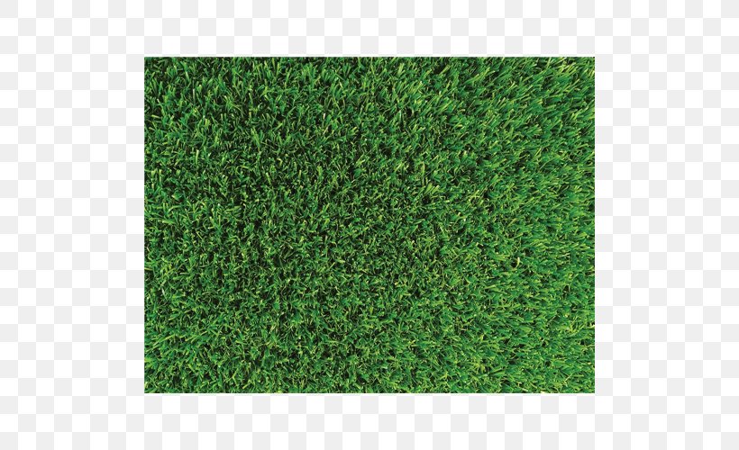 Artificial Turf Lawn Mowers Carpet Groundcover, PNG, 500x500px, Artificial Turf, Carpet, Common Couch, Evergreen, Flooring Download Free