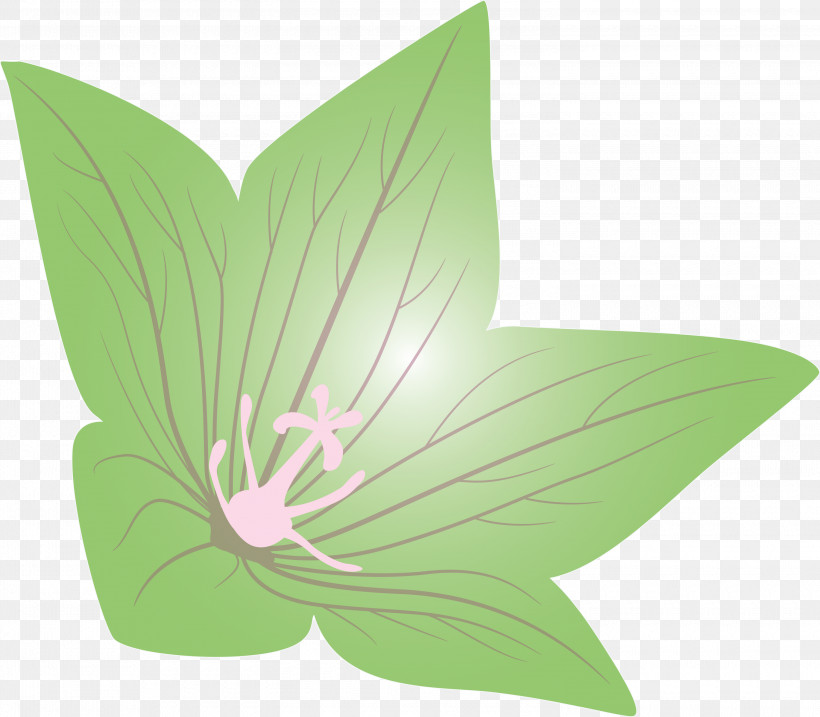 Balloon Flower, PNG, 3000x2626px, Balloon Flower, Biology, Butterflies, Flora, Flower Download Free