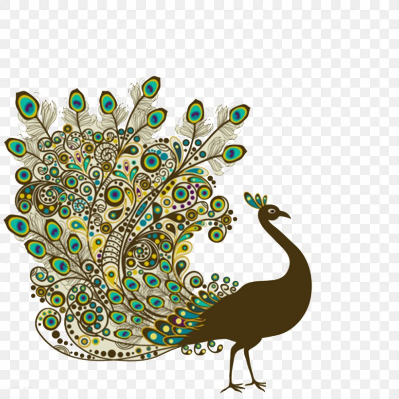 Bird Peafowl Feather Drawing, PNG, 1024x1024px, Bird, Art, Asiatic Peafowl, Drawing, Feather Download Free