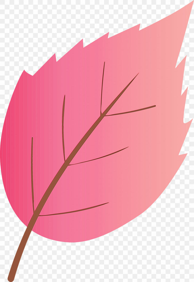 Leaf Pink Plant Tree Flower, PNG, 2060x3000px, Watercolor Leaf, Flower, Leaf, Paint, Pink Download Free