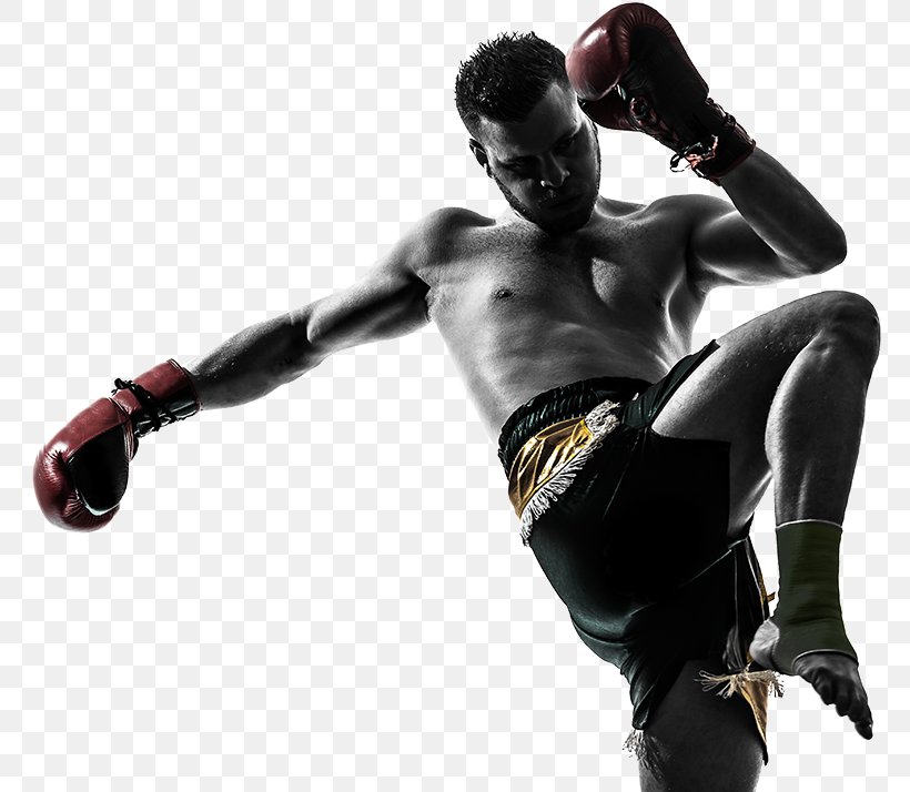 Punching & Training Bags Muay Thai Kickboxing, PNG, 769x714px, Punching Training Bags, Aggression, Arm, Boxing, Boxing Equipment Download Free