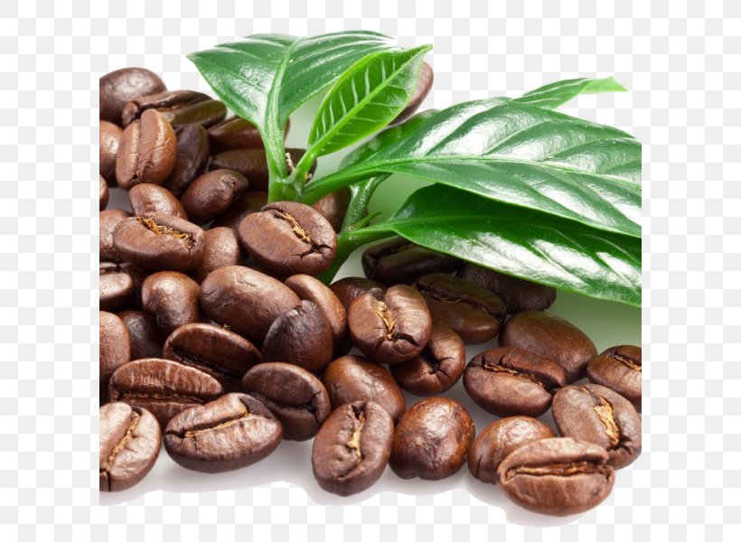 Coffee Bean Espresso Cocoa Bean, PNG, 600x600px, Coffee, Arabica Coffee, Bean, Cafe, Caffeine Download Free