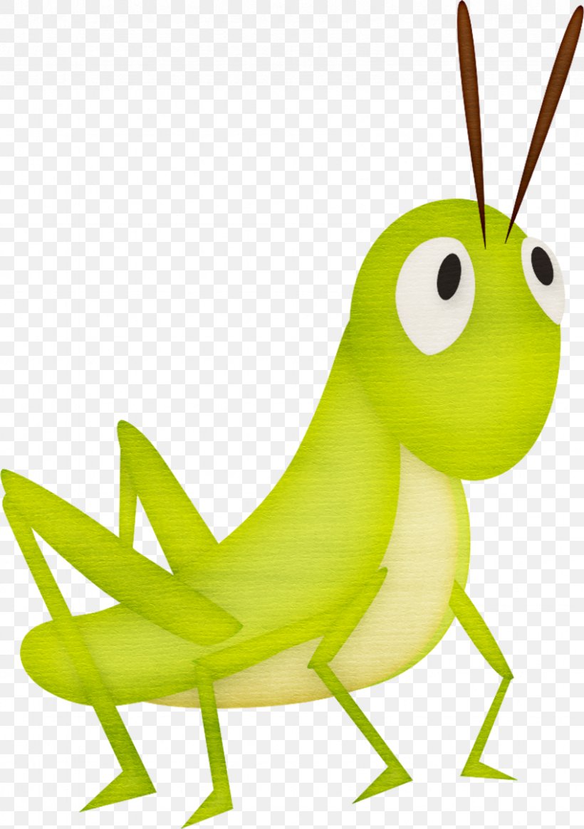 Grasshopper Cartoon Clip Art, PNG, 846x1202px, The Ant And The Grasshopper, Clip Art, Cricket, Dactylotum Bicolor, Drawing Download Free