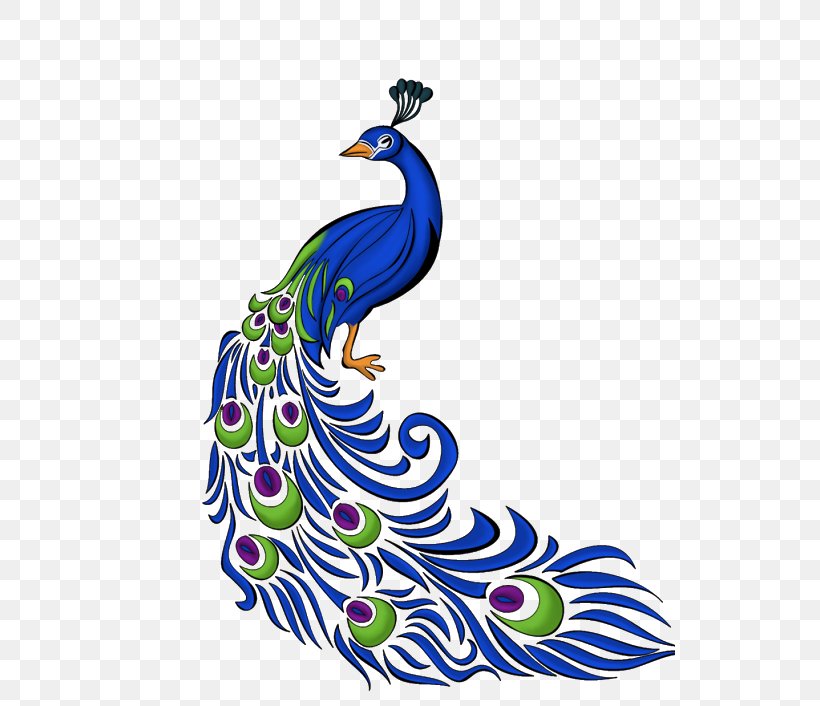 Peafowl Clip Art Vector Graphics Transparency, PNG, 530x706px, Peafowl, Bird, Drawing, Indian Peafowl, Peacock Dance Download Free