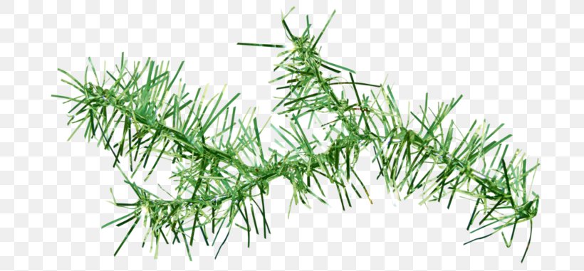 Vegetation Green Plants Image, PNG, 698x381px, Vegetation, Branch, Chart, Commodity, Data Download Free