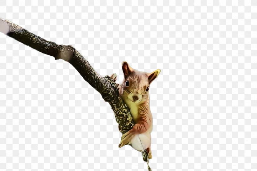 Branch Squirrel Twig Plant Wildlife, PNG, 2448x1632px, Watercolor, Branch, Paint, Plant, Squirrel Download Free