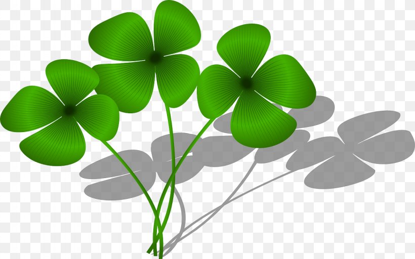 Four-leaf Clover Good Luck Charm Saint Patrick's Day, PNG, 1280x800px, Clover, Color, Fourleaf Clover, Good Luck Charm, Grass Download Free