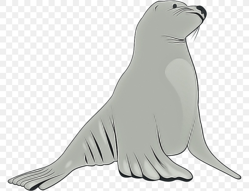 Seal California Sea Lion Fur Seal Walrus Earless Seal, PNG, 771x629px, Seal, Animal Figure, California Sea Lion, Earless Seal, Fur Seal Download Free