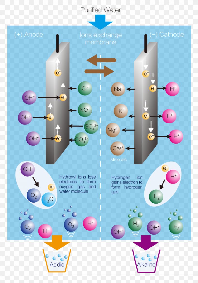 Water Ionizer Electrolysis Hydrogen, PNG, 827x1181px, Water Ionizer, Acid, Air Ioniser, Alkali, Anode Download Free